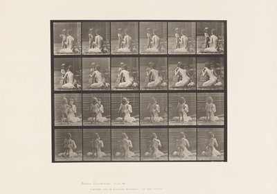 板466.两个型号，儿童70N，带花束到1885年12 作者 爱德沃德·迈布里奇