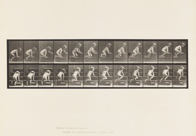 盘子472.Child，爬行楼上，1885年（纸上珂罗版） 作者 爱德沃德·迈布里奇