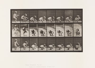 Plate 477. Child, Stooping, Lifting a Goblet, and Drinking 作者 爱德沃德·迈布里奇