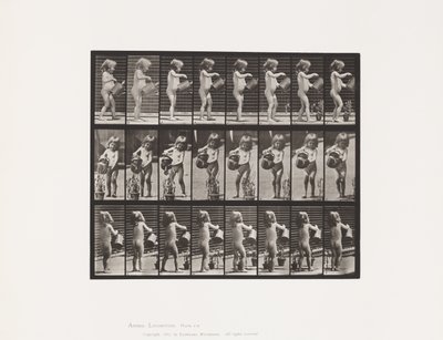 板块478.Child，洒在一些花上，1885年 作者 爱德沃德·迈布里奇