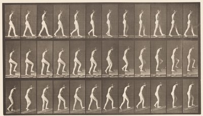 板482. A，步行; B，登高楼梯; C，Ascending Incline，1872-1885 作者 爱德沃德·迈布里奇