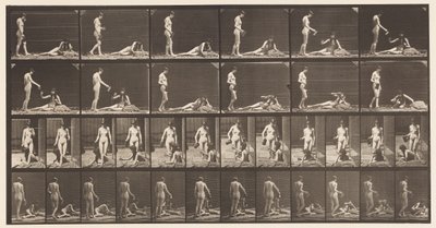 板485.两种型号; A，10 Standing and Filling a Goblet;，1872-1885 作者 爱德沃德·迈布里奇