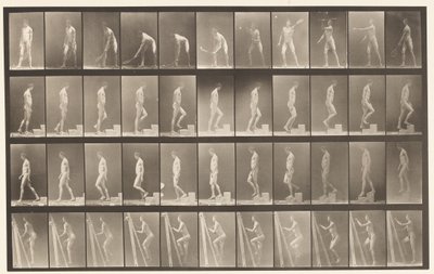 盘486. A，草地网球; B，升序; 1872-1885 作者 Eadweard Muybridge