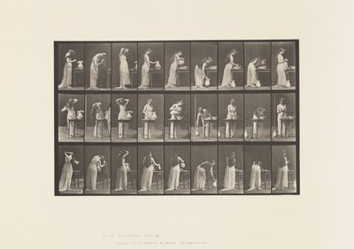 板块496. 1885年，厕所的各个阶段 作者 爱德沃德·迈布里奇