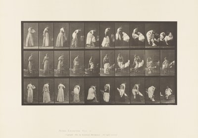 板块497. 1885年，厕所的各个阶段 作者 爱德沃德·迈布里奇