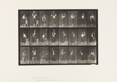 Plate 517. Miscellaneous Movements with a Water Jar 作者 爱德沃德·迈布里奇