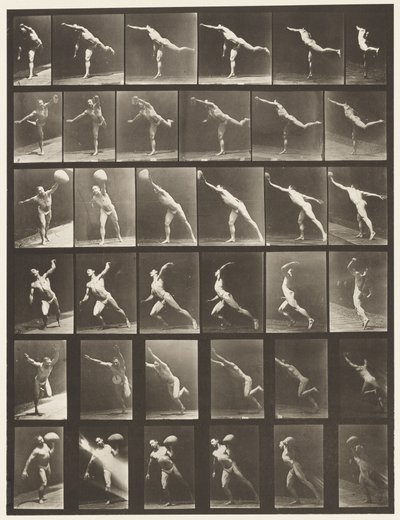 盘子523。 B，抛盘； 作者 Eadweard Muybridge