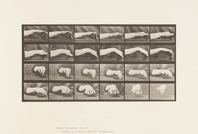 板532.手的移动;画一个圆圈，1885年 作者 Eadweard Muybridge