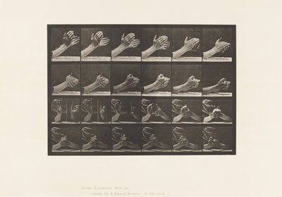 板533.手的移动;紧握手，1885年 作者 爱德沃德·迈布里奇