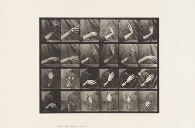 板535.手的运动;击败时间，1885年 作者 Eadweard Muybridge