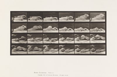 Plate 536. Movement of the Hand; Hands Changing Pencil 作者 Eadweard Muybridge