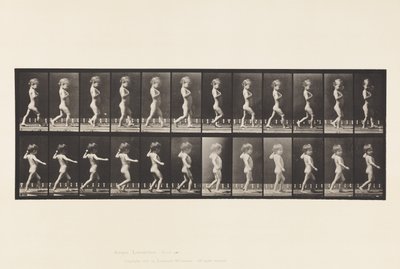 板540.A，弓腿;男孩; B，脊柱龋;女孩走路，1885年 作者 爱德沃德·迈布里奇