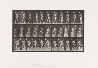 Plate 541. Multiple Cerebro-Spinal Sclerosis (Choreic); Walking 作者 爱德沃德·迈布里奇