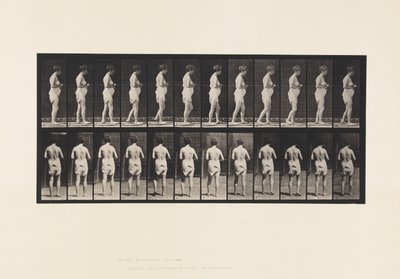 Plate 542. Multiple Cerebro-Spinal Sclerosis - Walking 作者 爱德沃德·迈布里奇