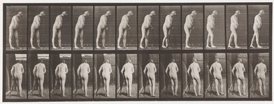 板547.Hemiplegia;与拐杖走路，1885年 作者 爱德沃德·迈布里奇