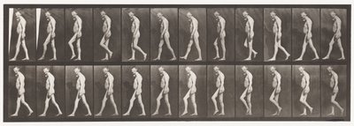 板555.腿部肌肉萎缩;成人，A，B，步行，1885年 作者 Eadweard Muybridge