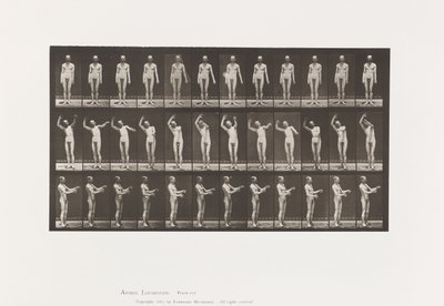 板557.局部舞蹈病; A，B，C，站立时，1885年 作者 爱德沃德·迈布里奇