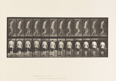 板558.Paraplegia;部分;步行，1885年 作者 爱德沃德·迈布里奇