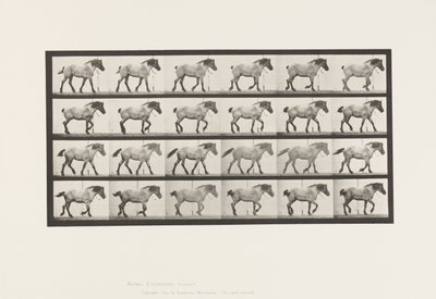 板块574.Walking;自由;深灰色比利时马汉塞尔，1885年 作者 爱德沃德·迈布里奇