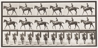 板580.Walking;鞍; Thoroughbred Bay Mare Annie G.，1885 作者 爱德沃德·迈布里奇