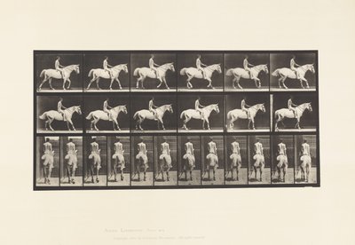 Plate 582. Walking;Saddle; Rider, 43, Nude; Light-Gray Horse Smith 作者 爱德沃德·迈布里奇