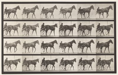 板587.Walking;生气; Sorrel Mare Nellie Rose，1885年 作者 爱德沃德·迈布里奇