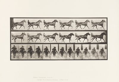 Plate 594. Rocking (Pacing): Sulky; Brown Horse Pronto 作者 爱德沃德·迈布里奇