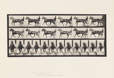Plate 595. Rocking (Pacing): Sulky; Brown Horse Pronto 作者 爱德沃德·迈布里奇