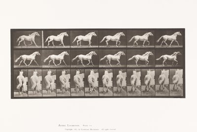 Plate 596. Trotting; Free; Light-Gray Horse Eagle 作者 爱德沃德·迈布里奇