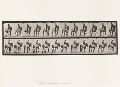 Plate 599. Trotting; Bareback; Dark-Gray Dusel 作者 爱德沃德·迈布里奇