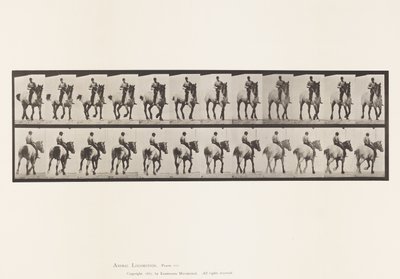 Plate 600. Trotting; Bareback; Dark-Gray Dusel 作者 爱德沃德·迈布里奇