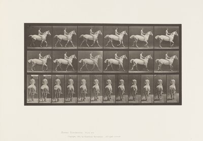 板602.Trotting; Bareback;骑士，43岁，裸体;浅灰色马史密斯，1885年 作者 爱德沃德·迈布里奇