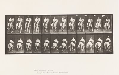 Plate 604. Trotting; Saddle; White Horse, Elberon 作者 爱德沃德·迈布里奇