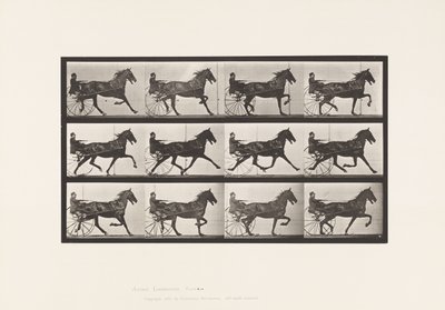 Plate 606. Trotting; Sulky; Bay Horse, Reuben 作者 爱德沃德·迈布里奇