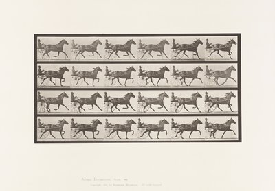 Plate 609. Trotting; Sulky; Bay Mare, Lizzie M. 作者 爱德沃德·迈布里奇