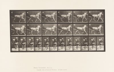 Plate 611. Trotting; Sulky; Gray Mare, Katydid 作者 爱德沃德·迈布里奇