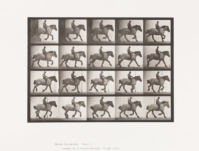 Plate 615. Canter: Bareback; Dark-Gray Belgian Horse Hansel 作者 爱德沃德·迈布里奇