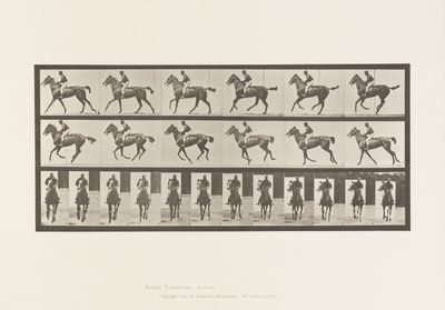 Plate 621. Canter; Saddle; Thoroughbred Bay Mare Annie 6 作者 爱德沃德·迈布里奇