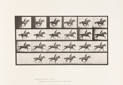 Plate 625. Gallop; Thoroughbred Bay Horse Bouquet 作者 爱德沃德·迈布里奇