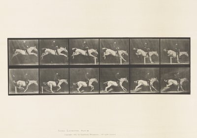 Plate 641. Jumping a Hurdle; Saddle; Knocking Over Hurdle and 作者 爱德沃德·迈布里奇