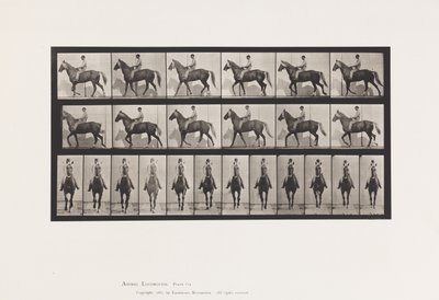 Plate 654. Walking; Saddle; Lame, Right Front Foot;Horse-Buckskin 作者 爱德沃德·迈布里奇