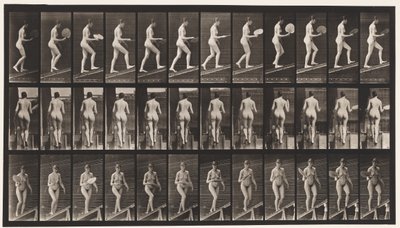 盘78.升序倾斜，调情扇，1872-1885 作者 爱德沃德·迈布里奇