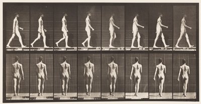 板9.步行，1872-1885 作者 爱德沃德·迈布里奇
