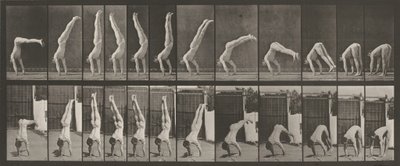 图版编号 371。Acrobat，垂直 "压上"，1887 年（照片） 作者 Eadweard Muybridge