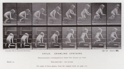 The Human Figure in Motion: Child, crawling upstairs (b/w photo) 作者 爱德沃德·迈布里奇