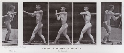 The Human Figure in Motion: Phases in batting at baseball (b/w photo) 作者 爱德沃德·迈布里奇