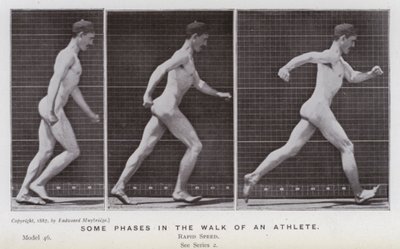 The Human Figure in Motion: Some phases in the walk of an athlete (b/w photo) 作者 爱德沃德·迈布里奇
