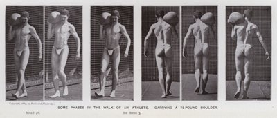 The Human Figure in Motion: Some phases in the walk of an athlete, carrying a 75-pound boulder (b/w photo) 作者 爱德沃德·迈布里奇