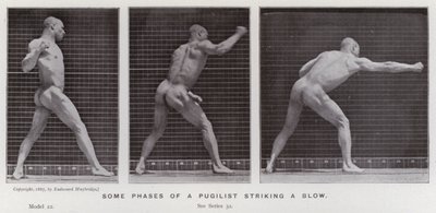 The Human Figure in Motion: Some phases of a pugilist striking a blow (b/w photo) 作者 爱德沃德·迈布里奇