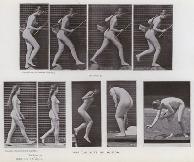 The Human Figure in Motion: Various acts of motion (b/w photo) 作者 爱德沃德·迈布里奇